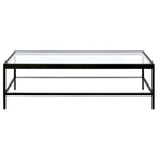 Table basse rectangulaire 54", verre transparent et cadre en acier noir/doré, moderne, 1 étagère