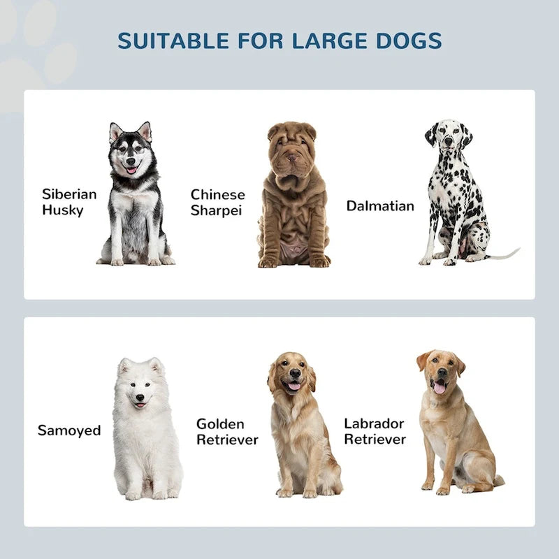 Grandes gamelles surélevées avec meuble de rangement 44L, support de gamelle surélevé pour animaux de compagnie, station d'alimentation pour chiens, Gris